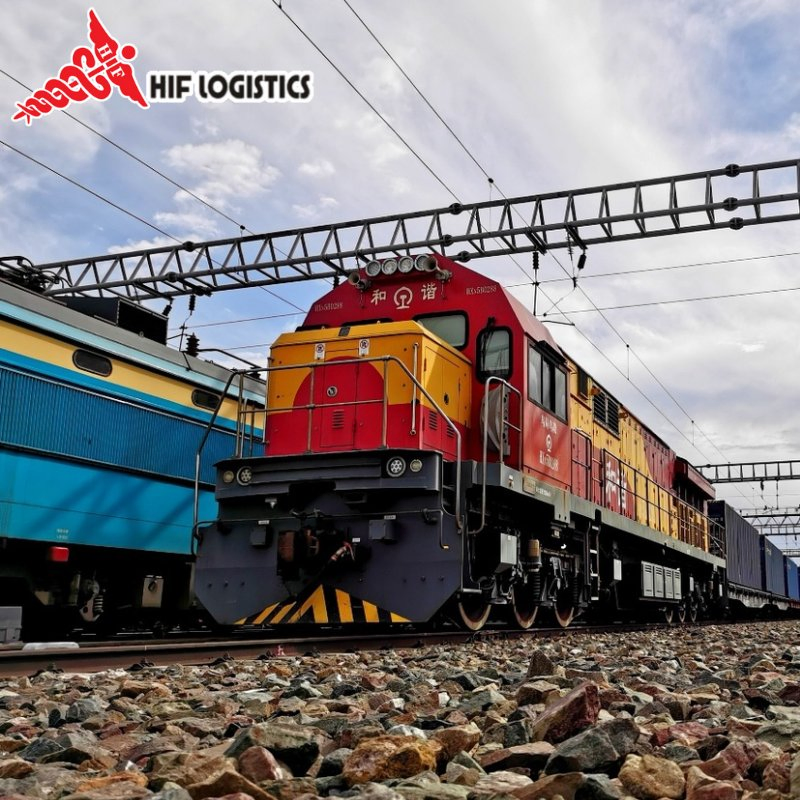 Professional FCL &amp; LCL Consolidation Service and Warehousing Service for Global Shipping From China to Worldwide