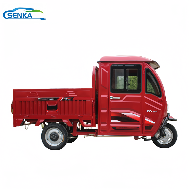 Senka Good Price Electric Cargo Tricycle for Delivery Service