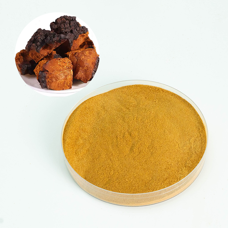 Food Grade Chaga Polysaccharide Extract for Health Supplements