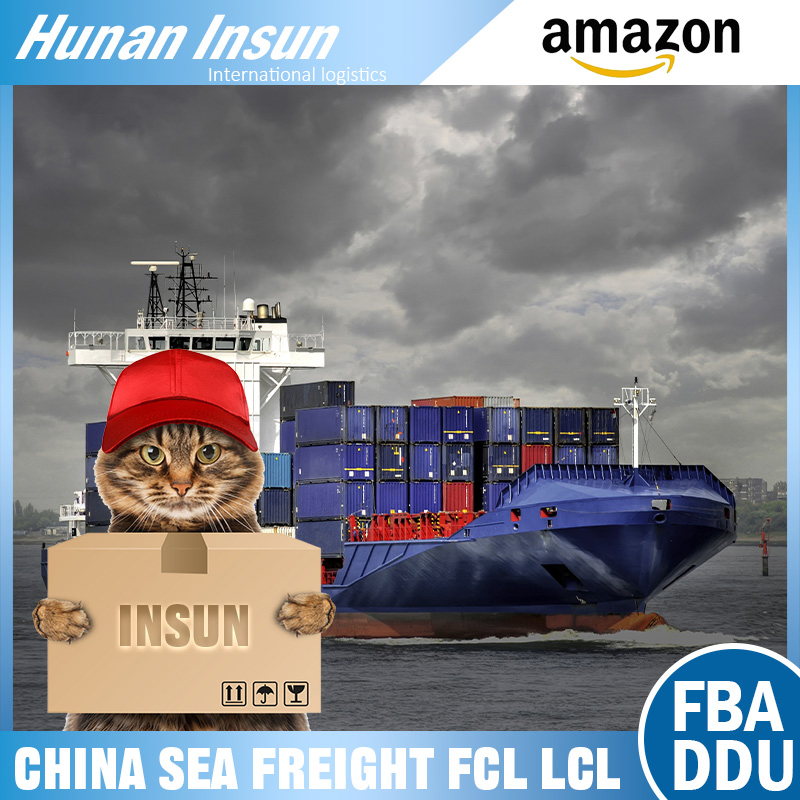 Professional Team Dedicated in Railway Freight Express Dilivery