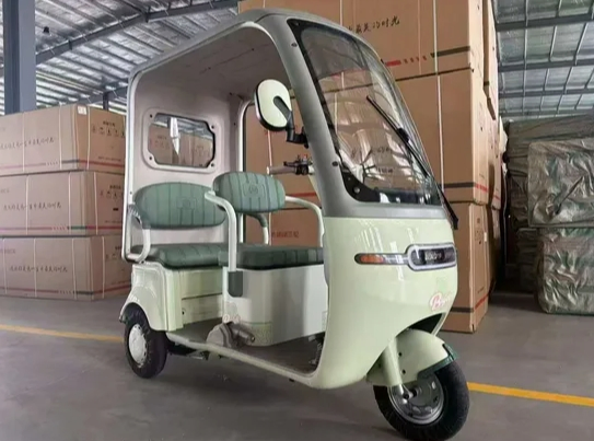 Wanhao Durable 60V 1000W Electric Tricycle with Spacious Cargo Area