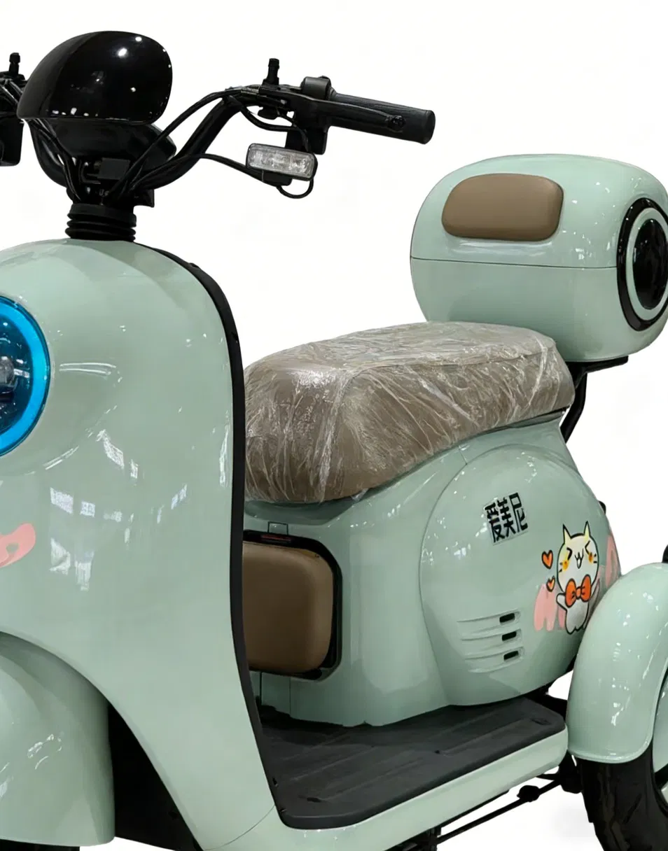 Cargo tricycle details