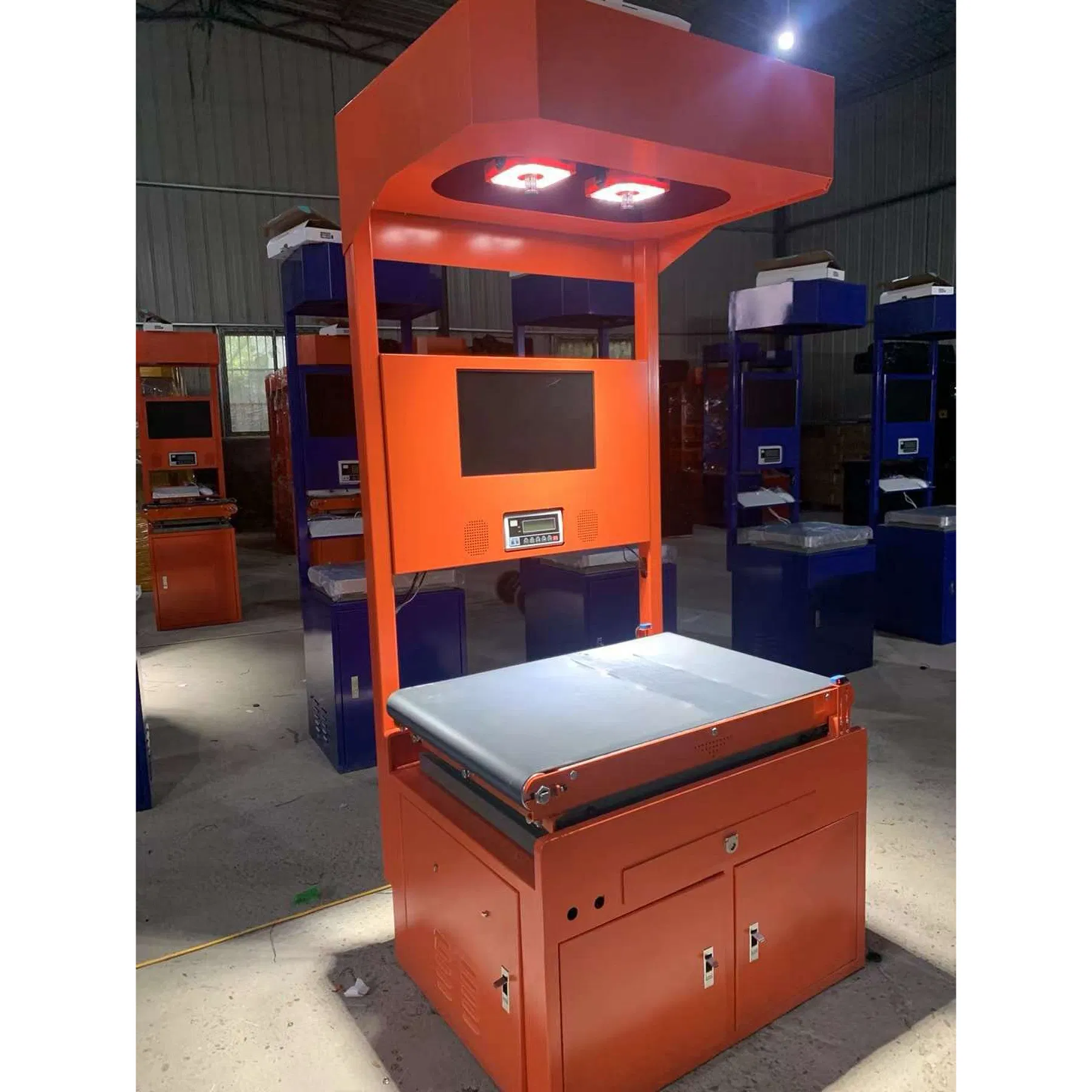 Truelisort Scalable Logistics Measurement Platform Warehouses Dws Scanning Weighing System