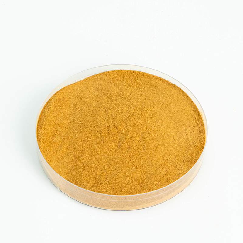 Food Grade Chaga Polysaccharide Extract for Health Supplements