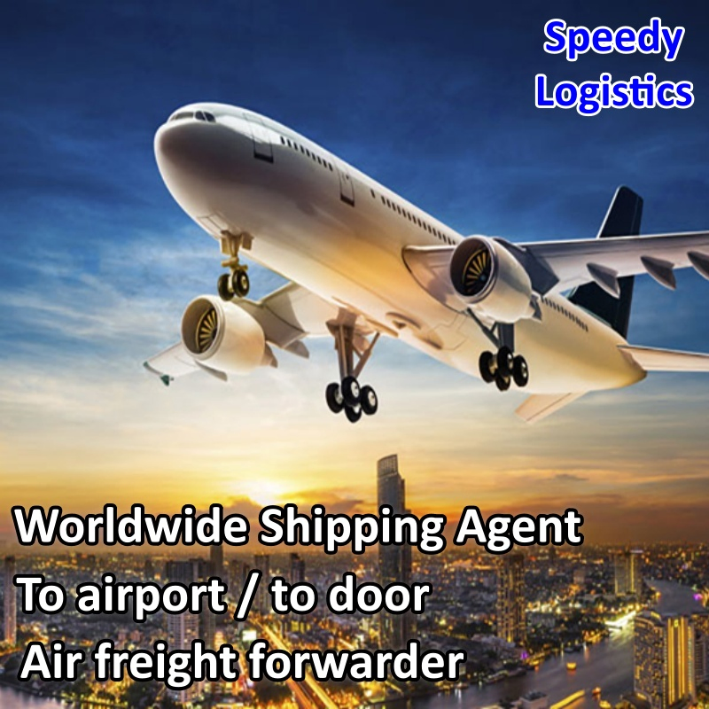 Sea Freight Forwarder Shipping Container to Nigeria, Dubai, Saudi Arabia, Bahrain, Turkey, Albania, Armenia, Azerbaijan, Belarus Logistics Service