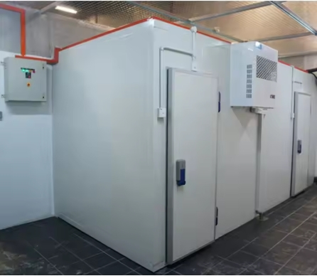 Automatic Defrost Cold Storage System with Smart Control