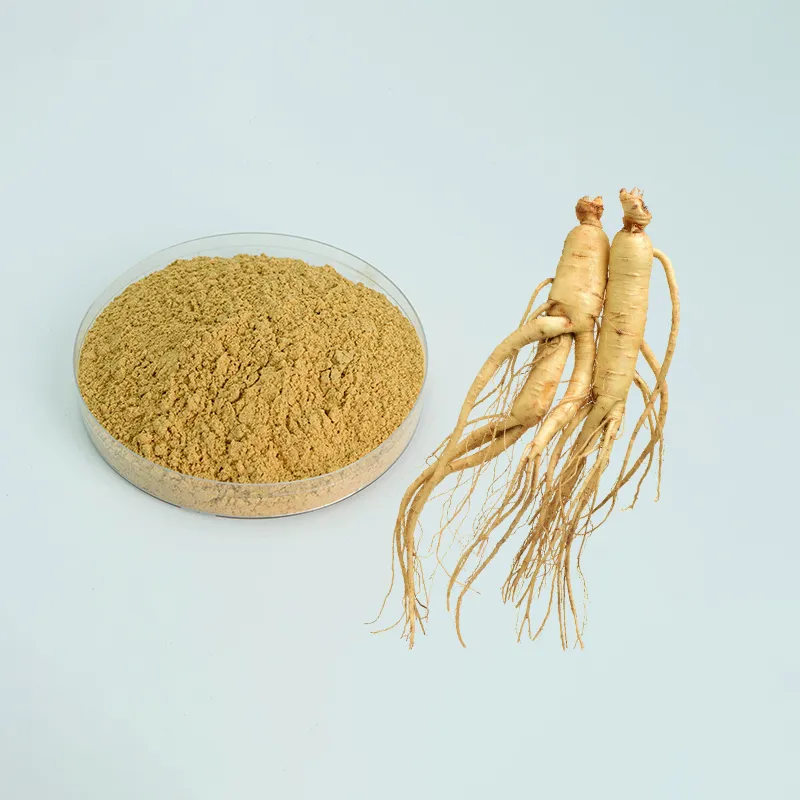 Ginseng Saponins Powder