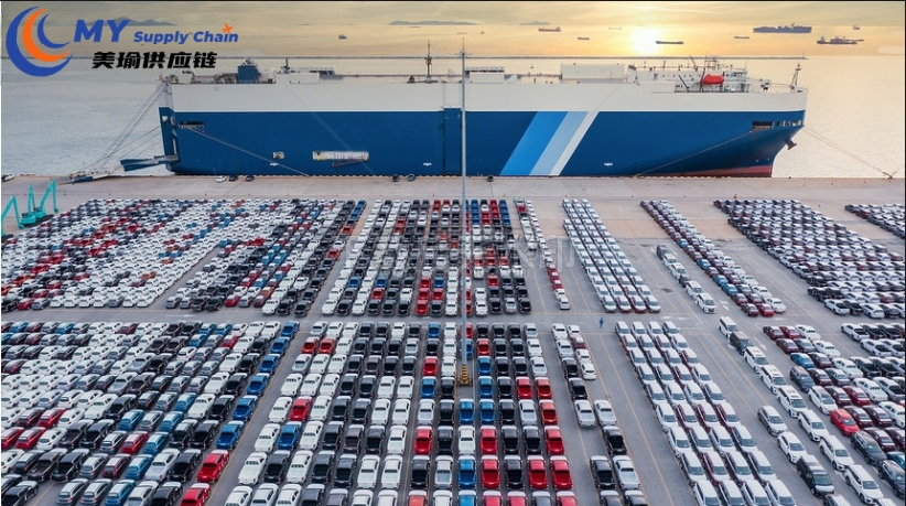 Affordable Sea Shipping Solutions From Shanghai to Jebel Ali