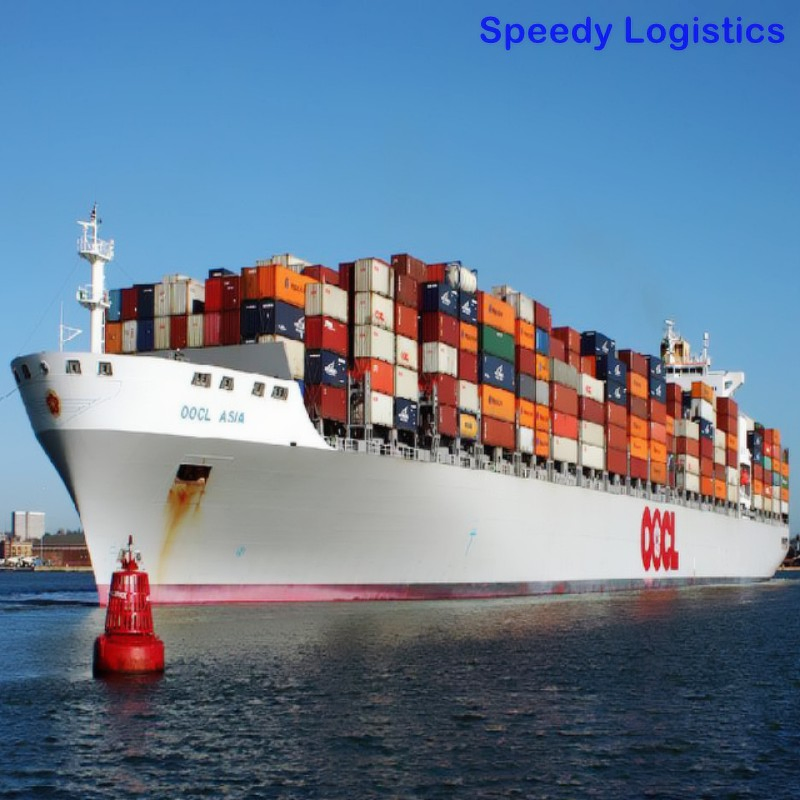 Cheap Freight DDP Service to USA, India, Nigeria, Pakistan, Brazil Sea Shipping Agent