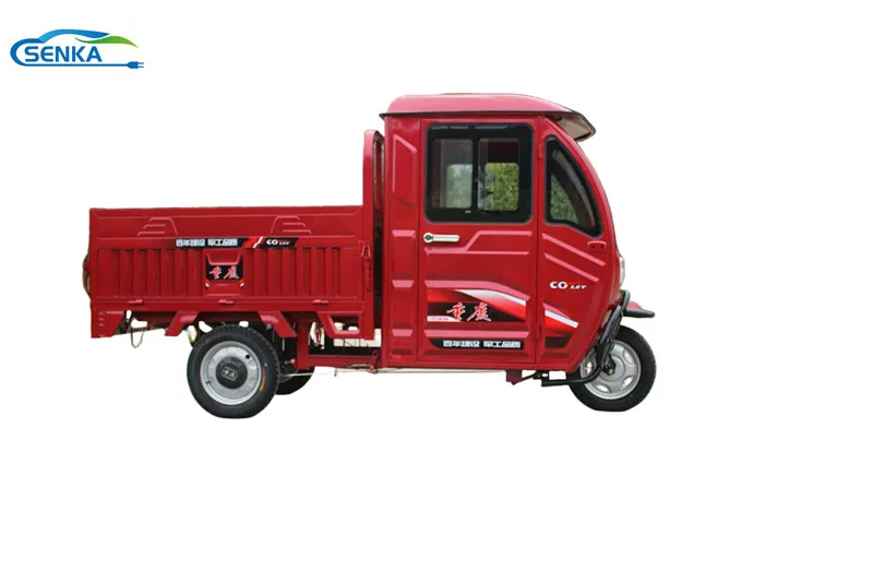 Cargo Tricycle Rear View