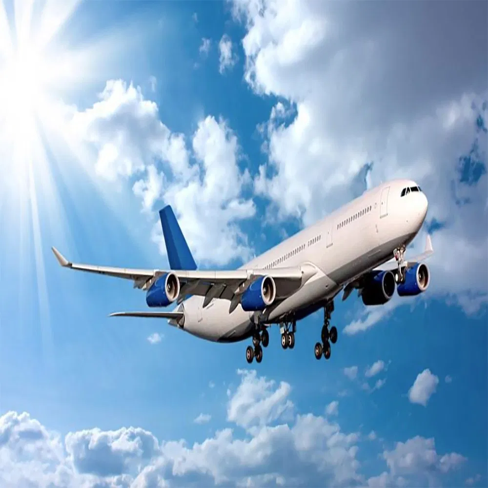 Support Sensitive and Dangerous Cargo Shipping Company From China to State of Israel, Palestine, Republic of Lebanon