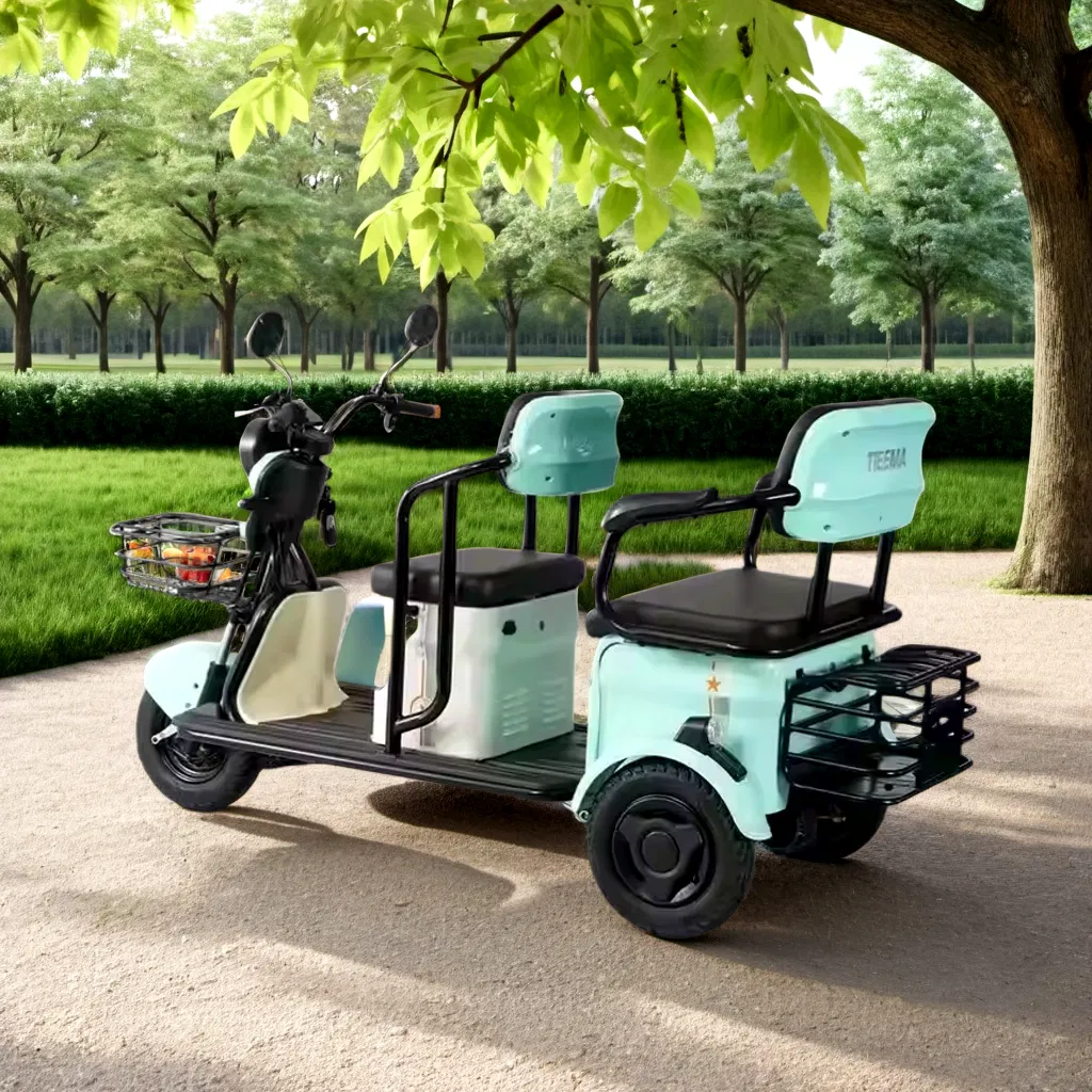 Electric Ticycle with Rear-Wheel Drive and 40-60km Performance Electric Bike Electronic Bicycle Electric Bicycle E-Bike