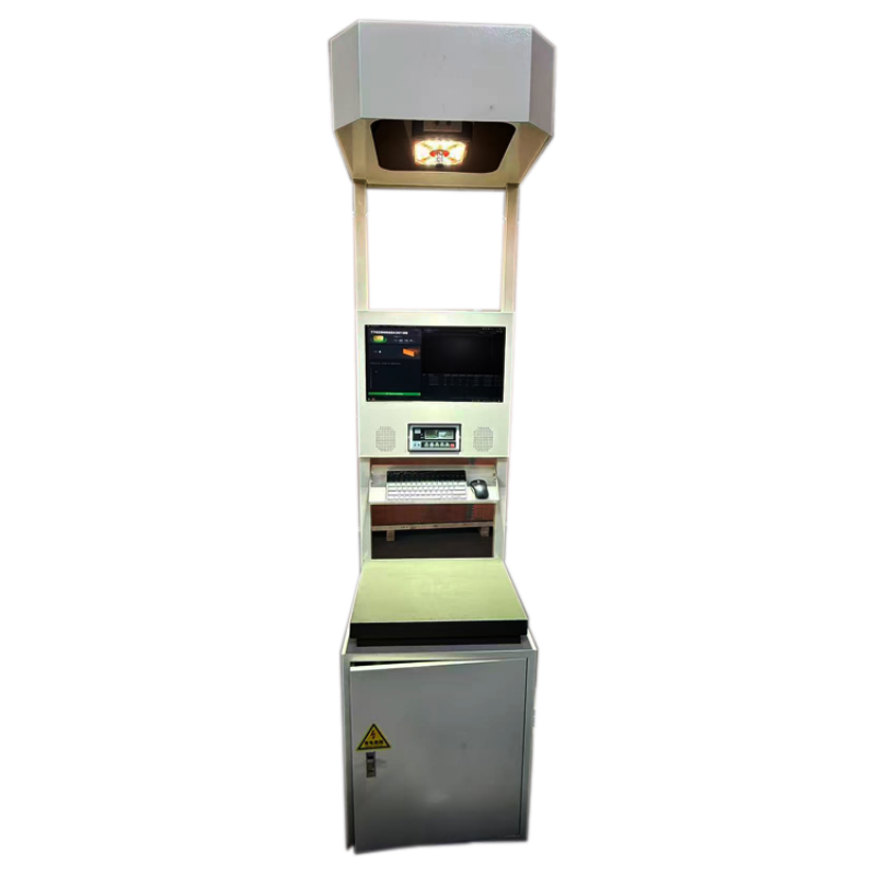 Truelisort Smart Logistics Data Collection Equipment for Parcel Handling Dws System