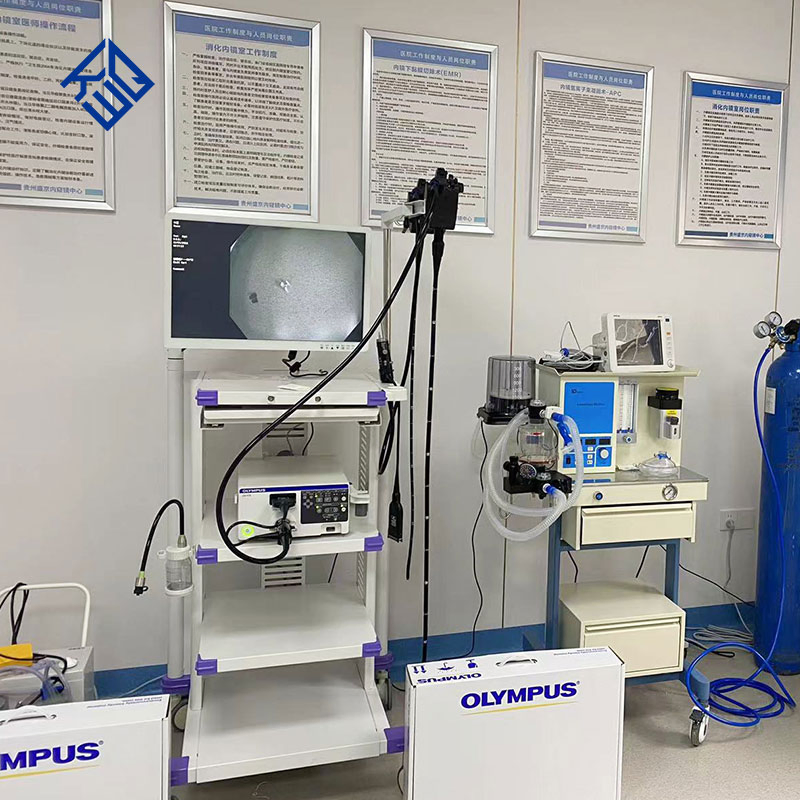 Medical Endoscopy System Olympus Electronic Gastroenteroscope CV170/290