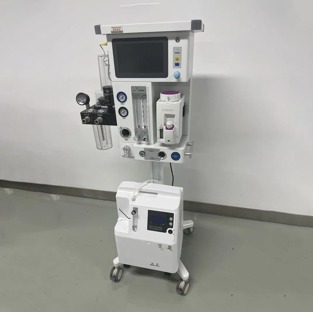 Veterinary Hospital Use Touch Screen Veterinary Anesthesia Machine Pet Clinic Anesthesia Apparatus