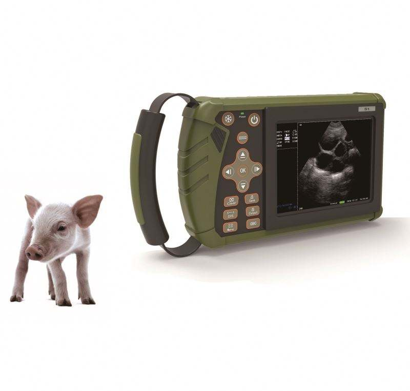 Ultrasound Veterinaire Pig Dog Vet Handheld Portable Mobile Scanner System Veterinary Probe Device Price for Sheep
