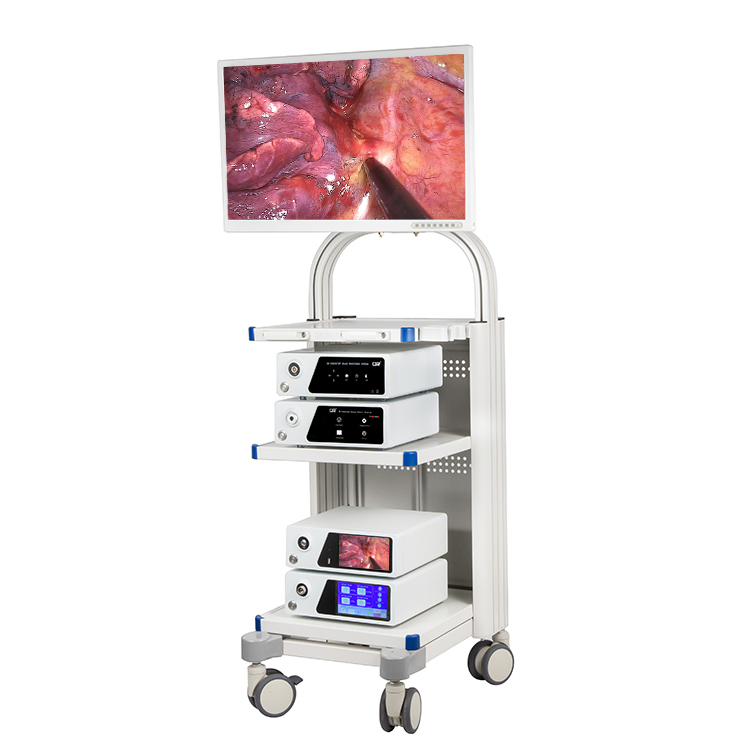 Medical Diagnostic Esophagoscopy Endoscopic Instrument Endoscopy Equipment 4K Flourescent Endoscope Camera System