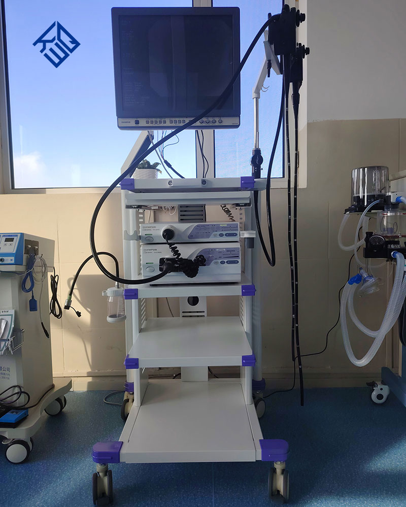 Gastroscope and Colonoscope Medical Gastrointestinal Endoscopy System