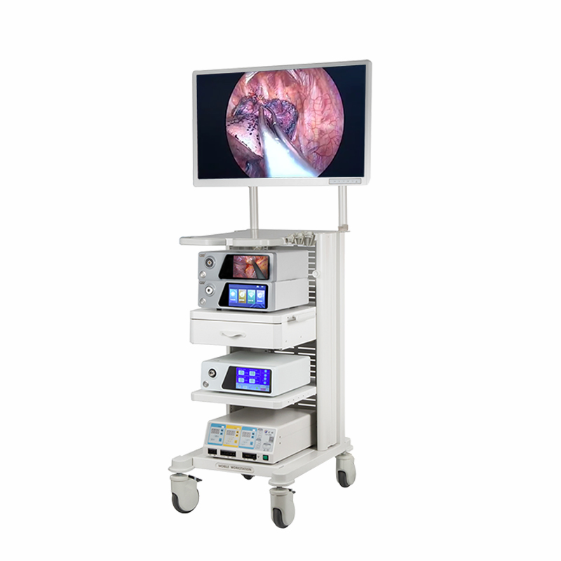 Medical Diagnostic Esophagoscopy Endoscopic Instrument Endoscopy Equipment 4K Flourescent Endoscope Camera System