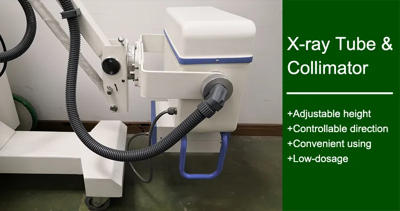 Body parts selection