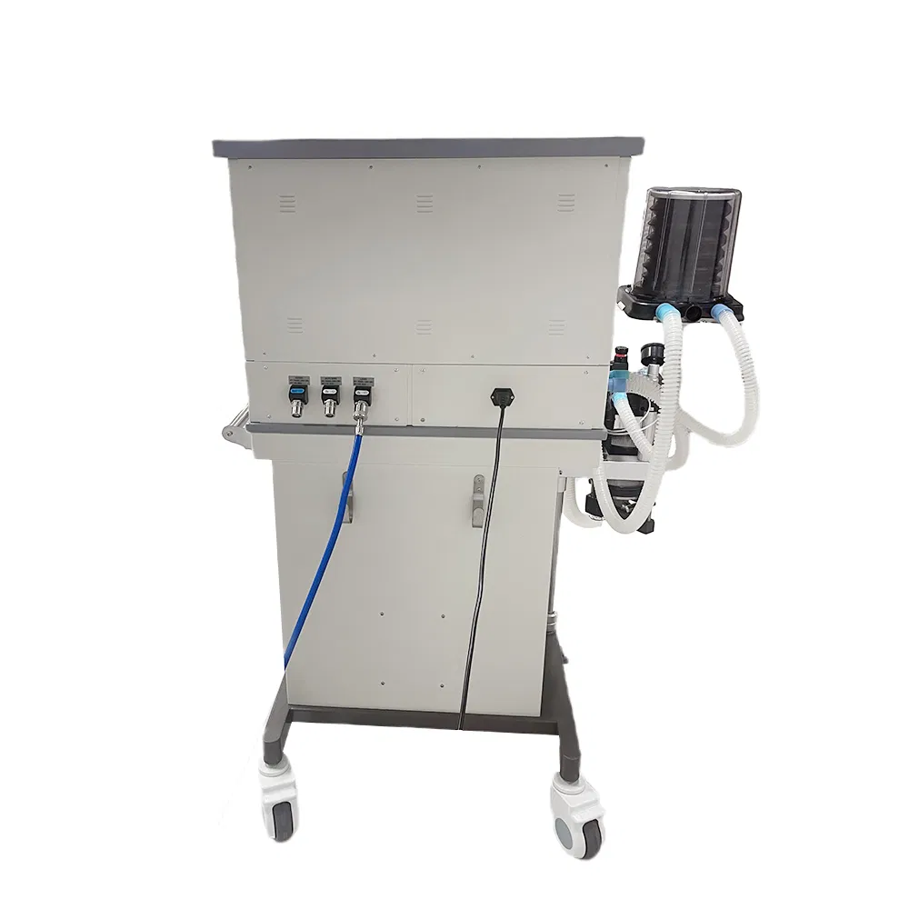 New Veterinary Surgical Equipment Medical Device Anesthesia Machine Spares Manufacturer