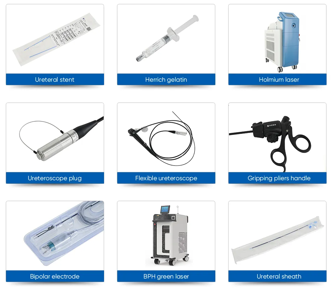 Main Product Catalog