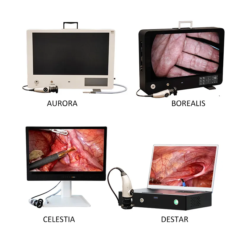 Endoscopy Device Details