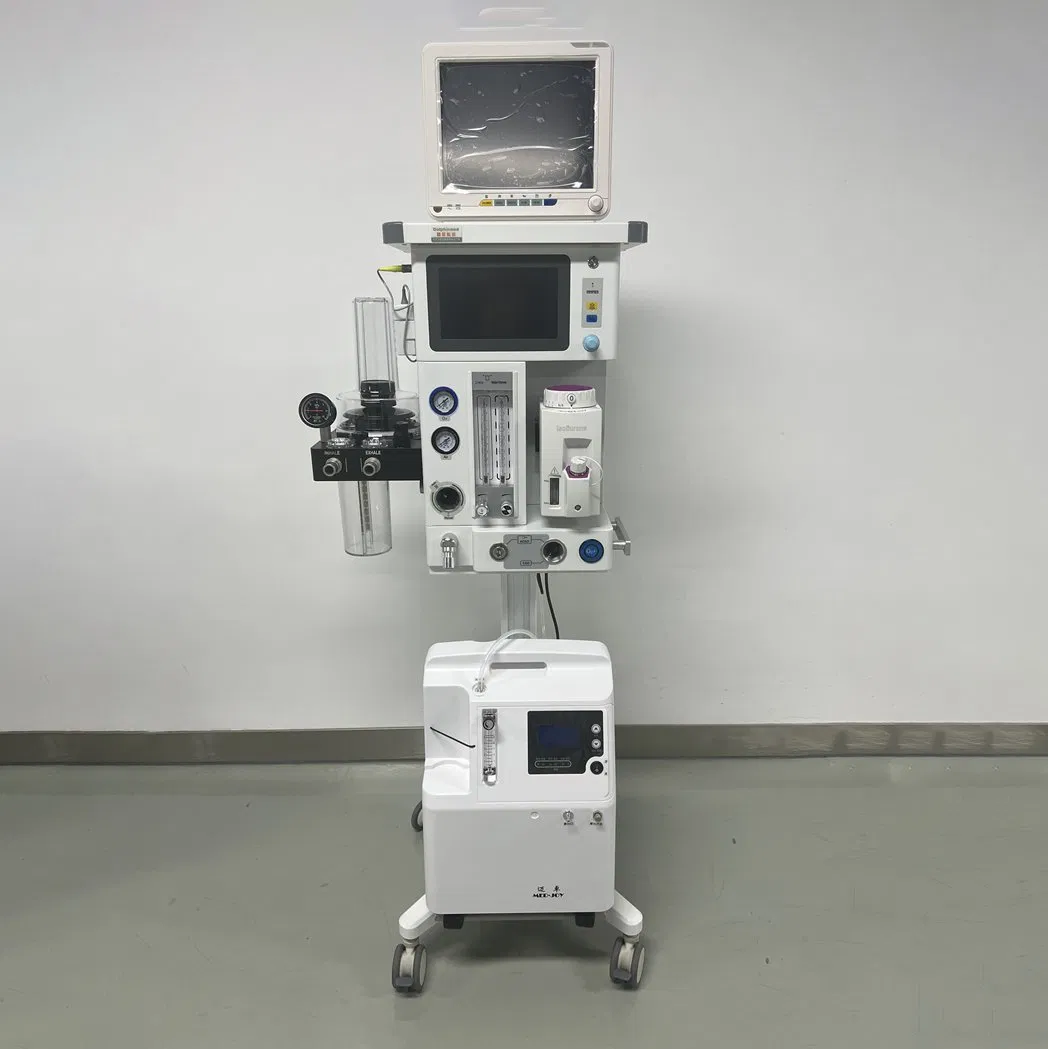 Veterinary Hospital Use Touch Screen Veterinary Anesthesia Machine Pet Clinic Anesthesia Apparatus