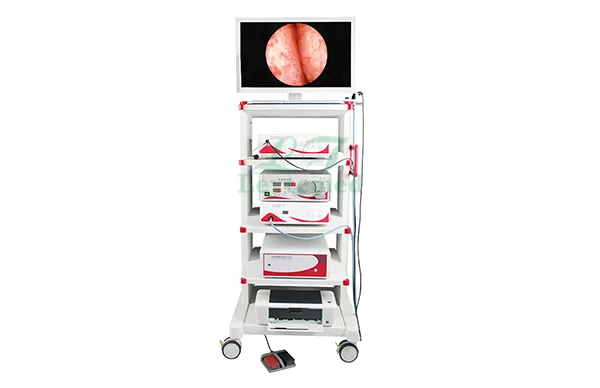 Medical Endoscopy System