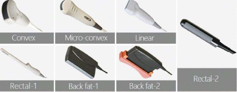 Ultrasound Veterinaire Pig Dog Vet Handheld Portable Mobile Scanner System Veterinary Probe Device Price for Sheep