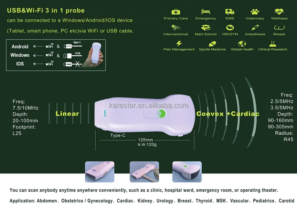 Ultrasound Display 3