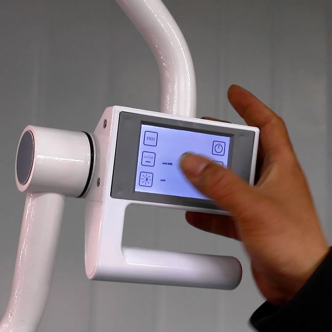 Featured Products 700/500 LED Operation Lamp Square Arm Double Dome Surgical Light