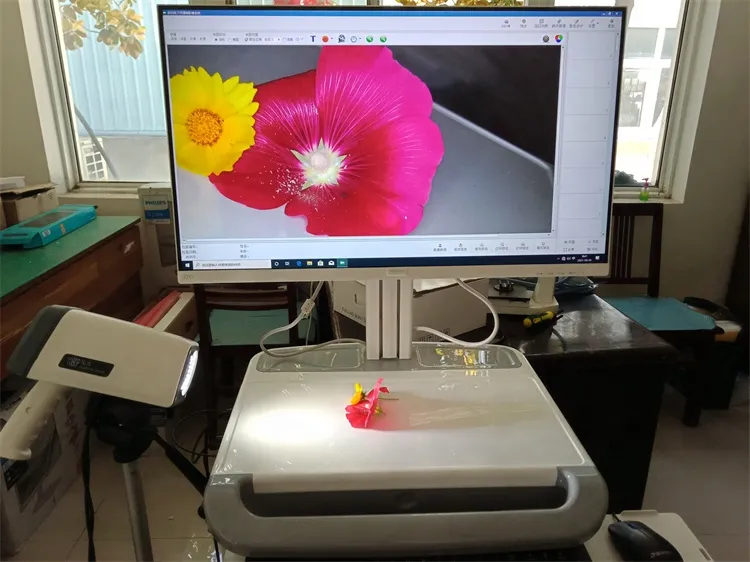 Medical Imaging Device