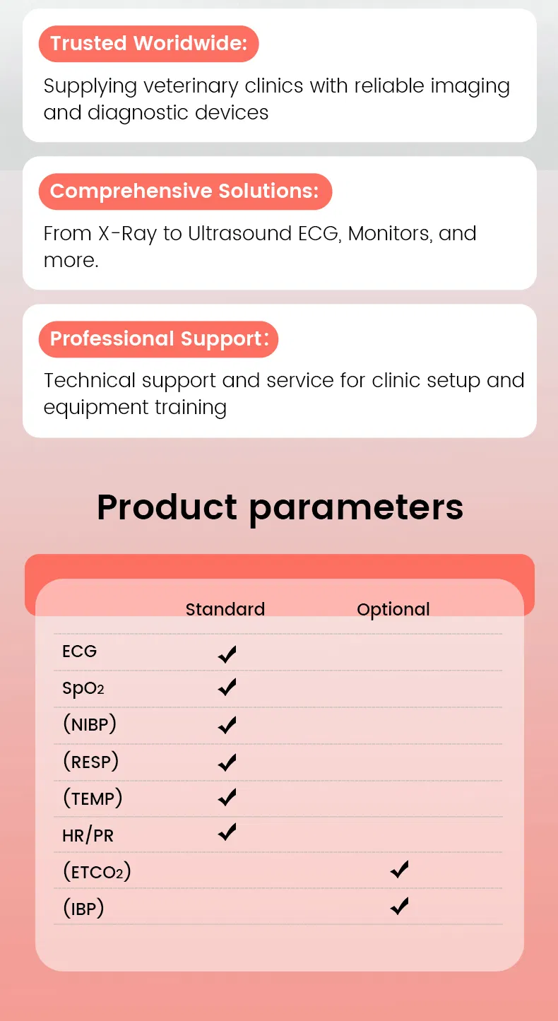 Multiparameter Patient Monitor Detail 3