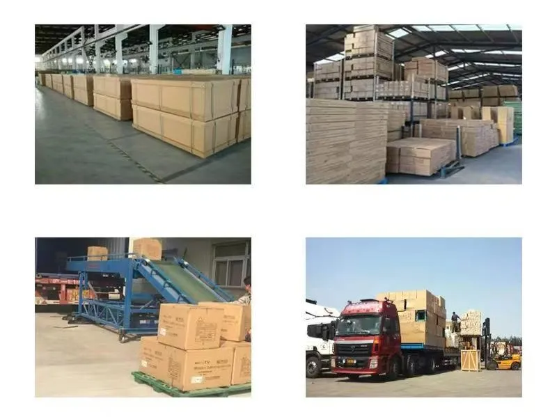 Packing and Logistics