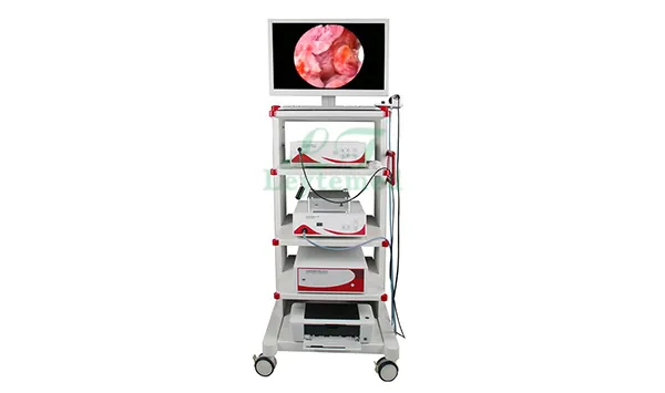 Medical Endoscopy System