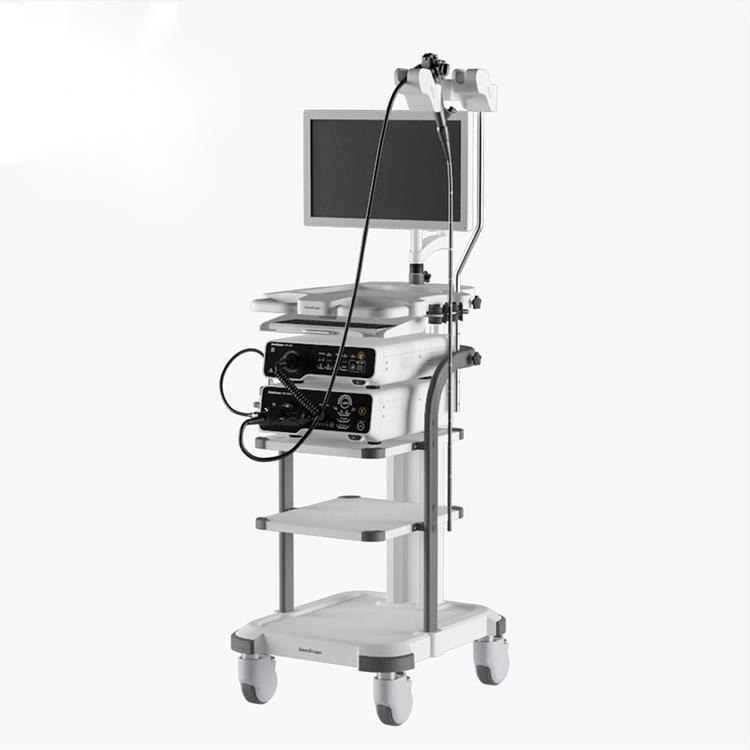 Medical Video Endoscopy Hospital Gastro Colonoscope Video Endoscope System Price