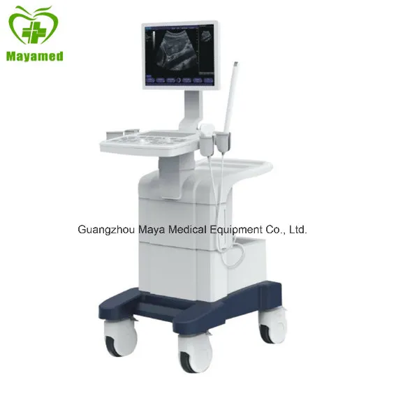 Digital Ultrasound Diagnostic Imaging System