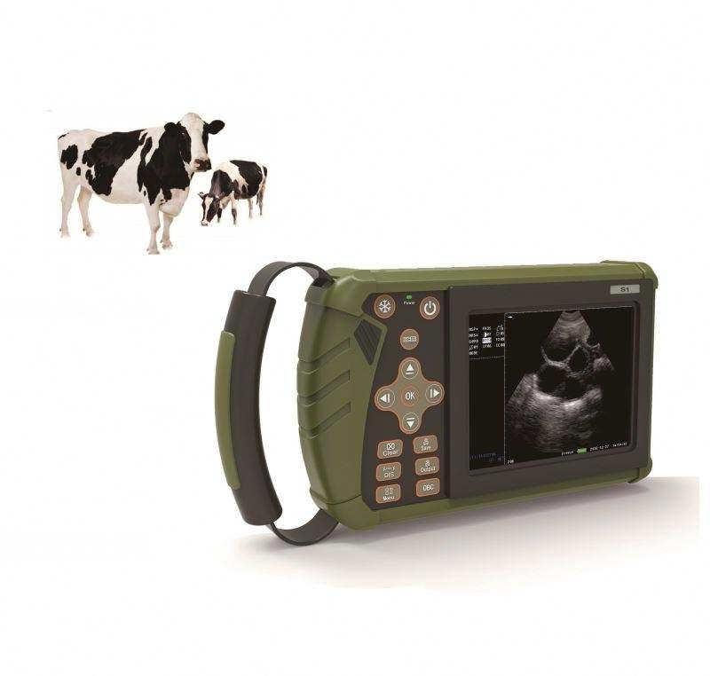 Ultrasound Veterinaire Pig Dog Vet Handheld Portable Mobile Scanner System Veterinary Probe Device Price for Sheep