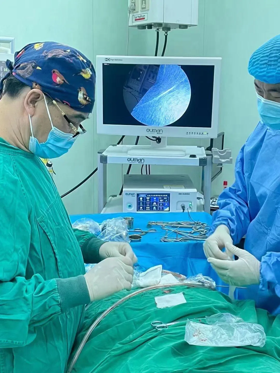 Ouman Complete Endoscopy Camera System with Monitor and LED Light