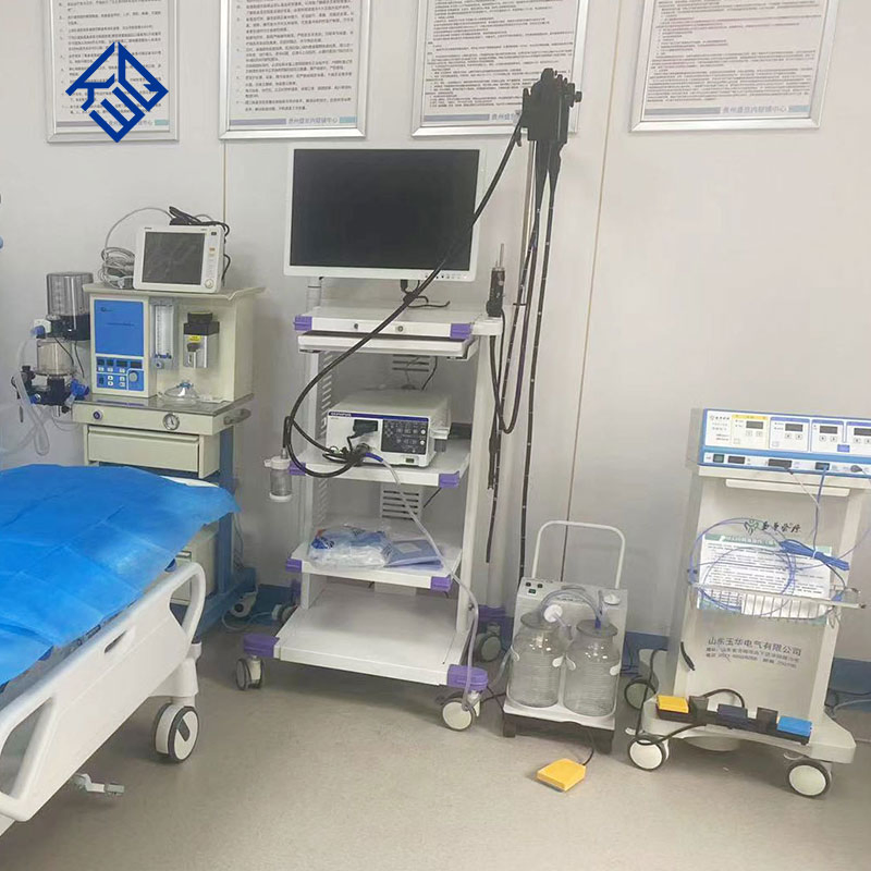 Medical Endoscopy System Olympus Electronic Gastroenteroscope CV170/290