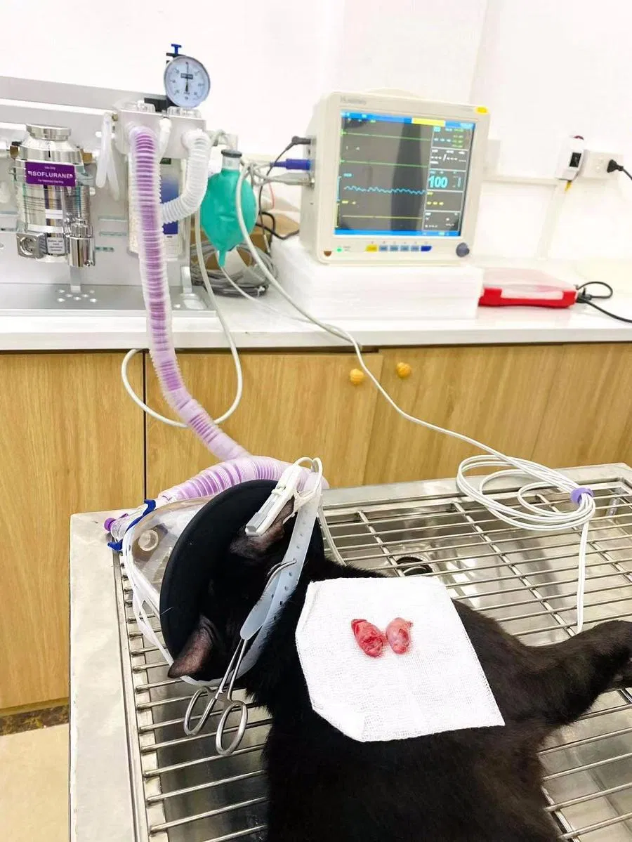 Mechanical Structure