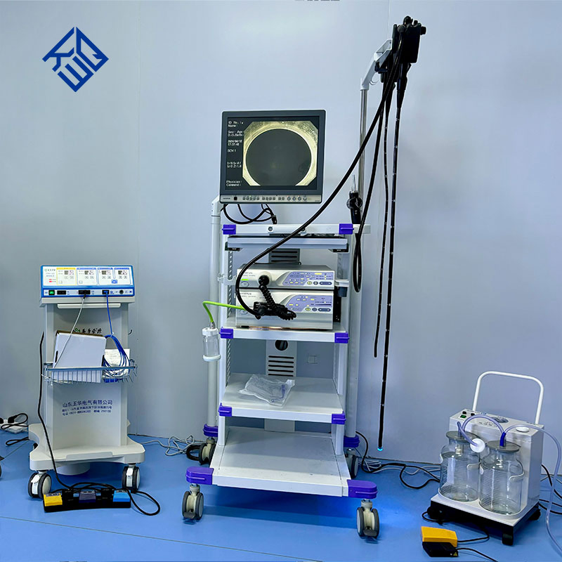 Medical Endoscopy System Olympus Electronic Gastroenteroscope CV170/290