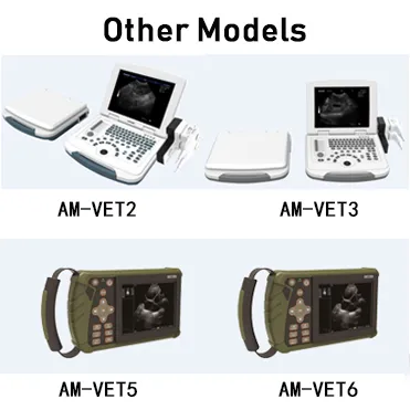 Application Examples