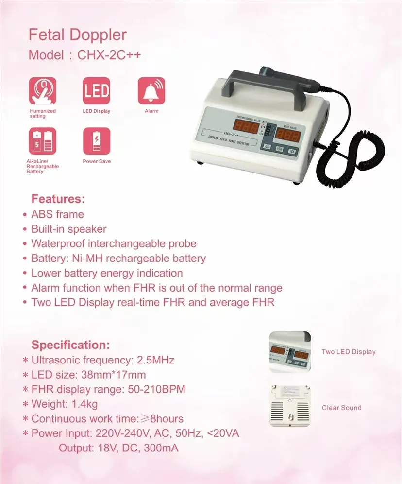 Fetal Doppler Detail 1