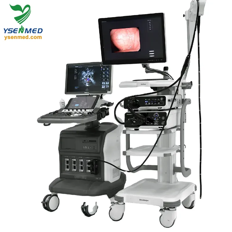 Echoendoscope System Overview