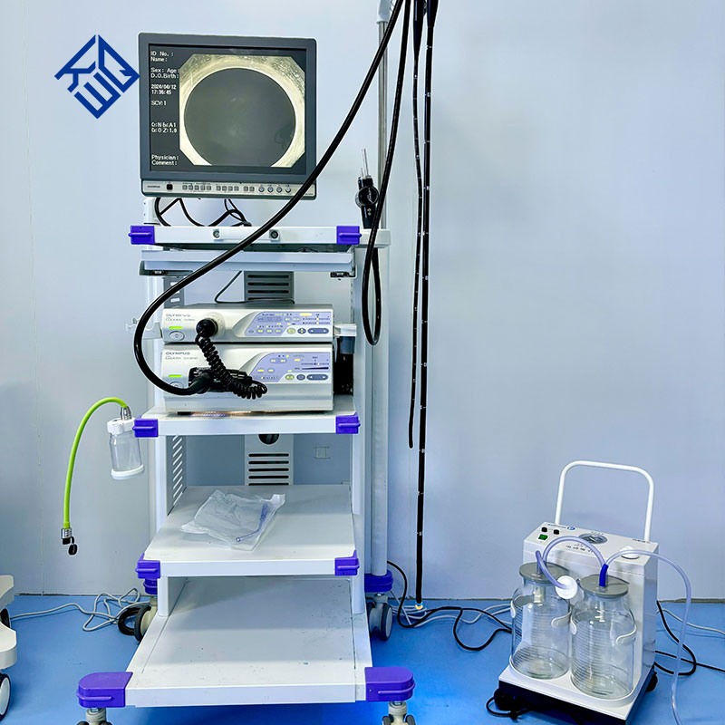 Medical Endoscopy System Olympus Electronic Gastroenteroscope CV170/290