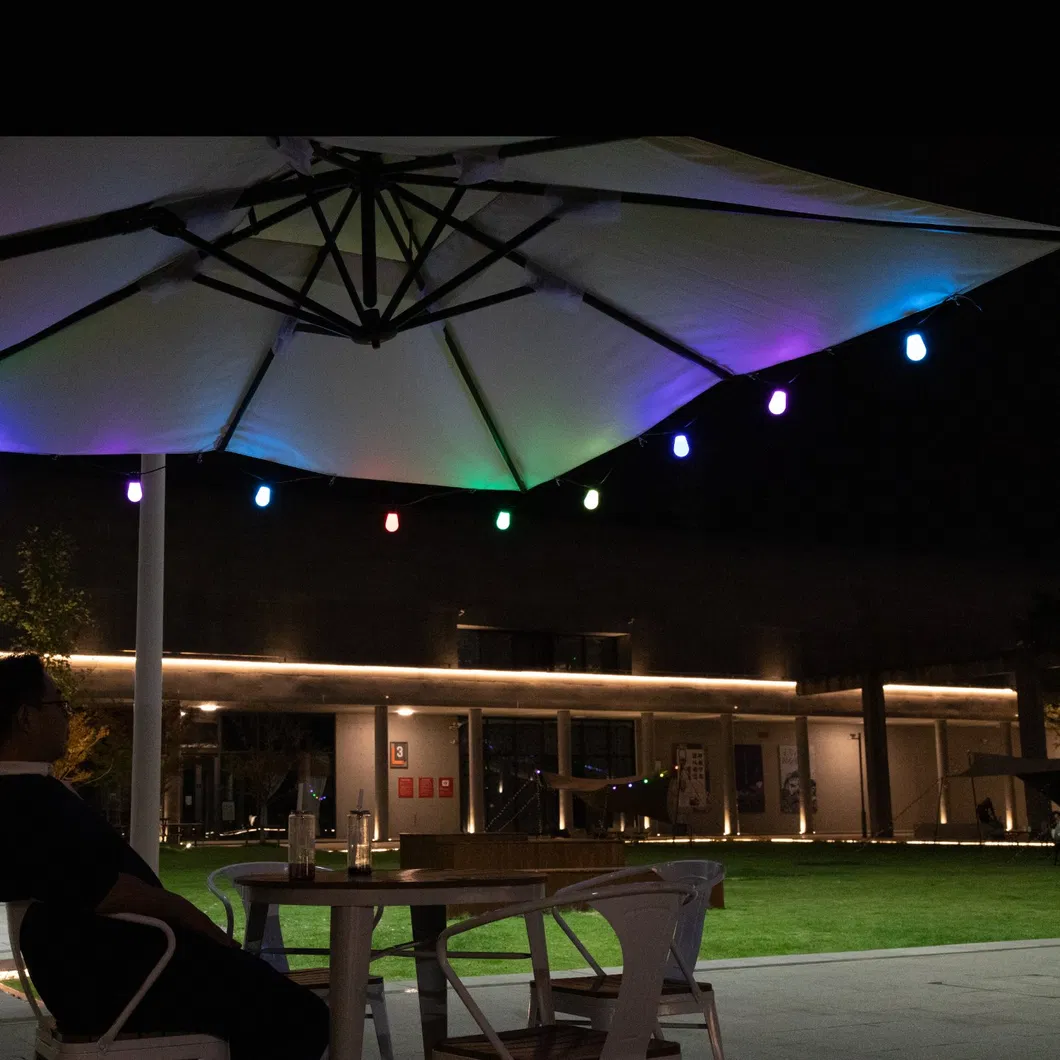 Solar String Lights 6