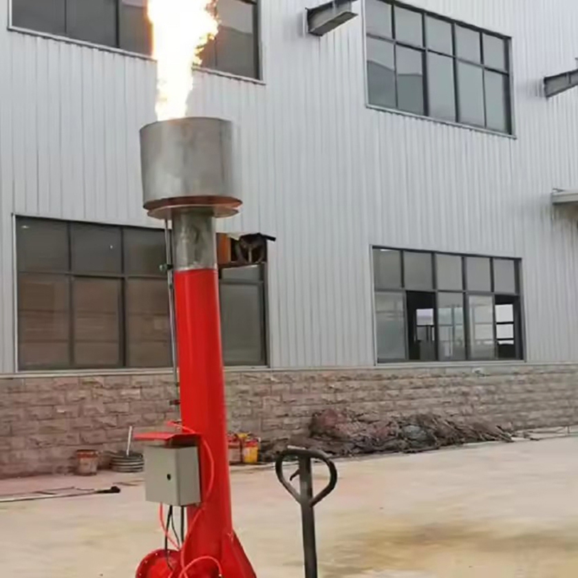 Flare Ignition Device with Horizontal Setup for Gas and DN200 Torch Size