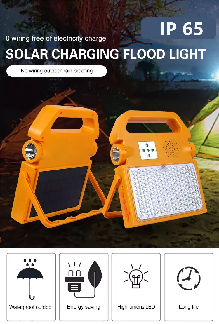 Solar Music Light 1